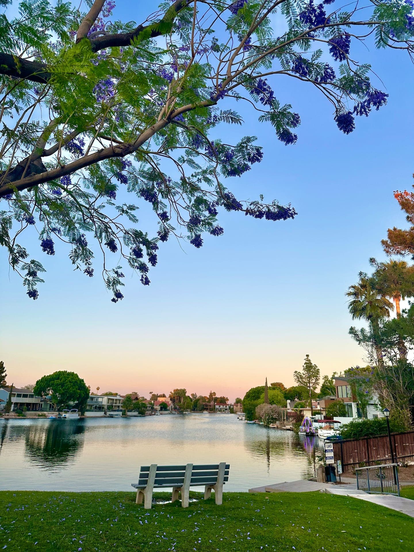The Lakeshore — photo 9